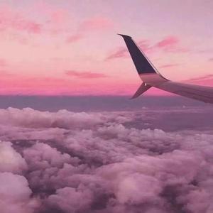 搜索中国一级黄片
