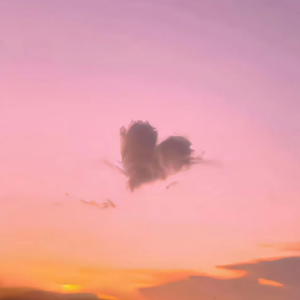 搜索中国一级黄片
